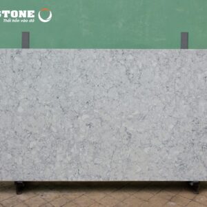 Trang chủ 144 8840 scaled 1